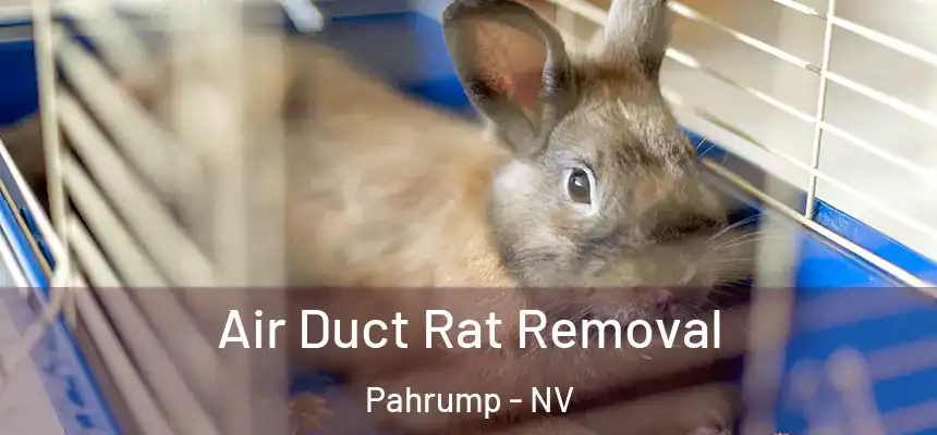  Air Duct Rat Removal Pahrump - NV