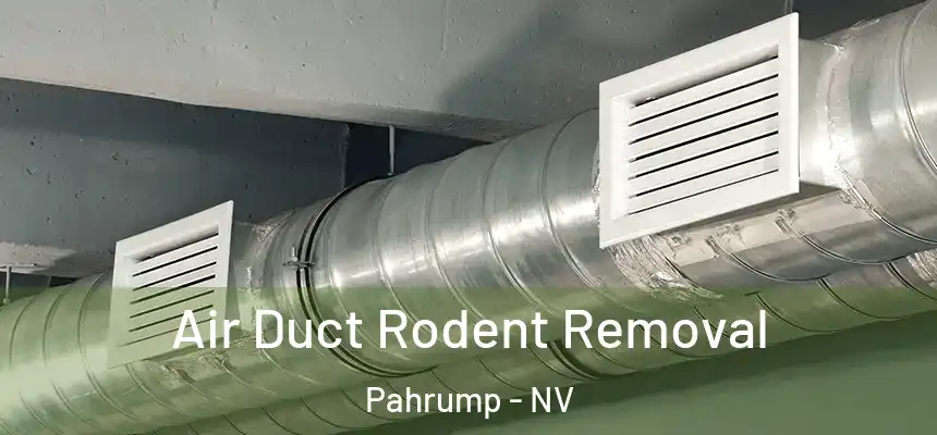 Air Duct Rodent Removal Pahrump - NV