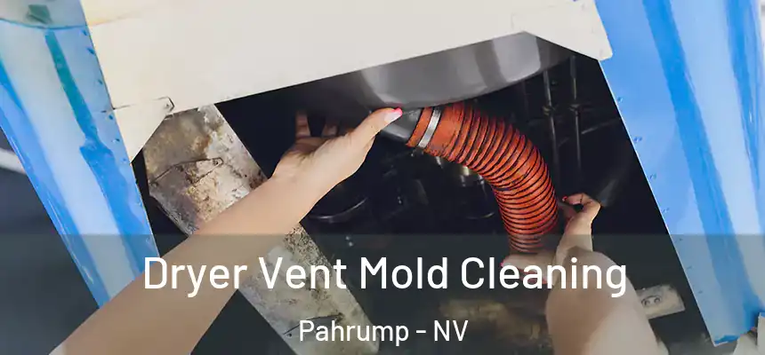 Dryer Vent Mold Cleaning Pahrump - NV