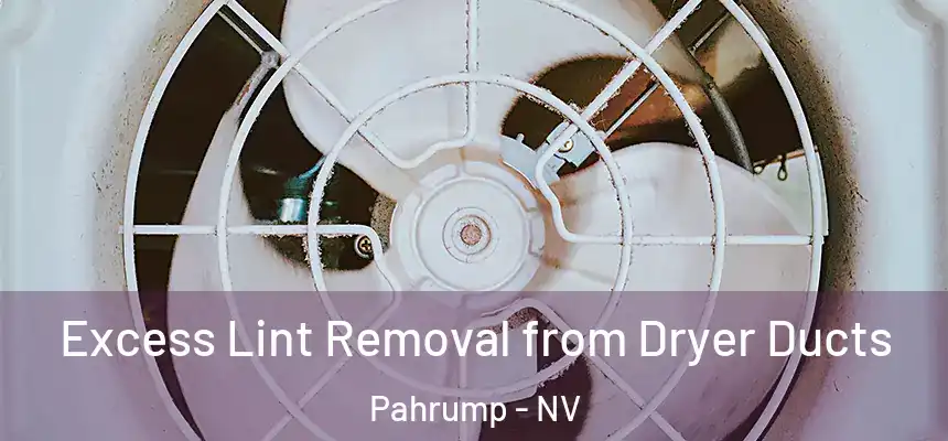 Excess Lint Removal from Dryer Ducts Pahrump - NV