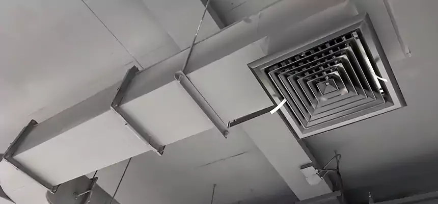 Restorative Allergy Relief Vent Cleaning – Coil, Blower & Housing Detail in Pahrump