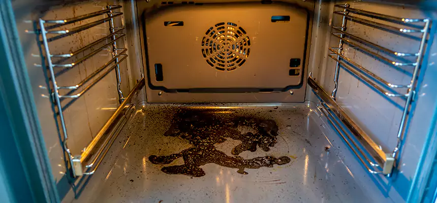 Our Dryer Vent Mold Cleaning Services in Pahrump, NV