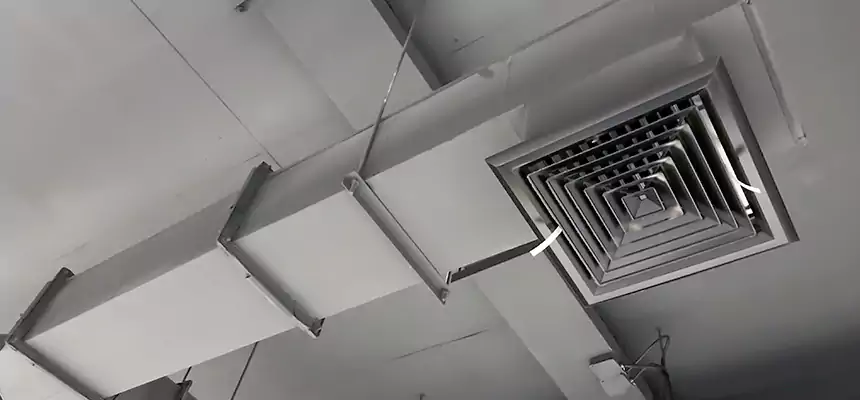 Our Rodent Droppings In Vents Services in Pahrump, NV