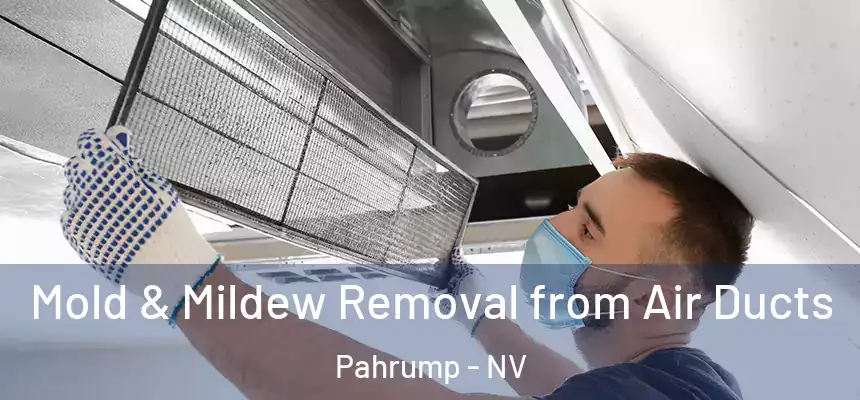  Mold & Mildew Removal from Air Ducts Pahrump - NV