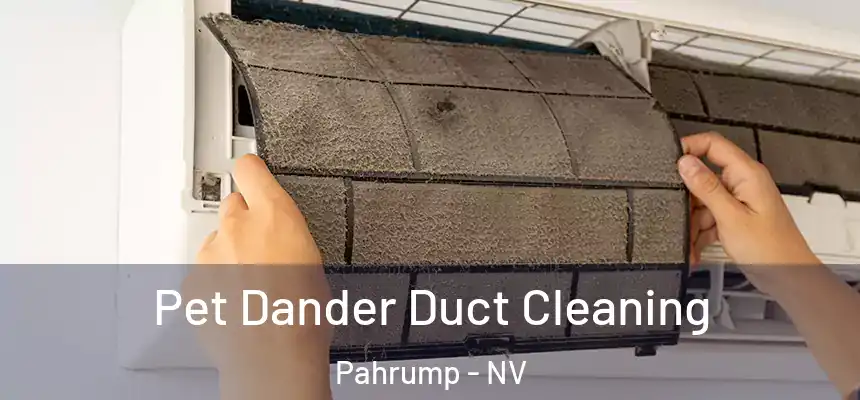 Pet Dander Duct Cleaning Pahrump - NV