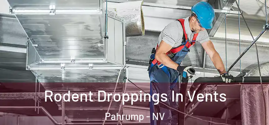  Rodent Droppings In Vents Pahrump - NV