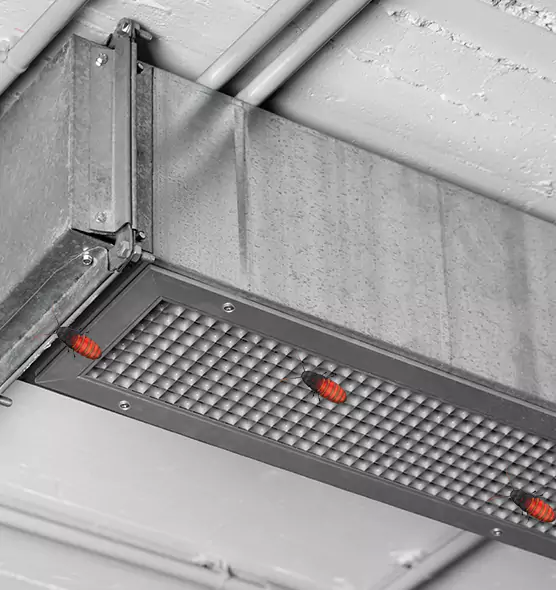 Affordable Insect Removal from Air Ducts in Pahrump, NV