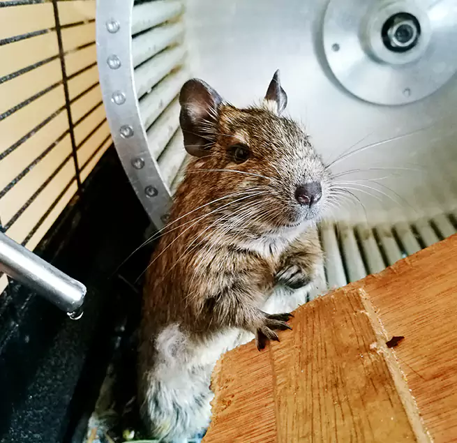 Why Homeowners & Businesses Trust Us Pahrump, NV?